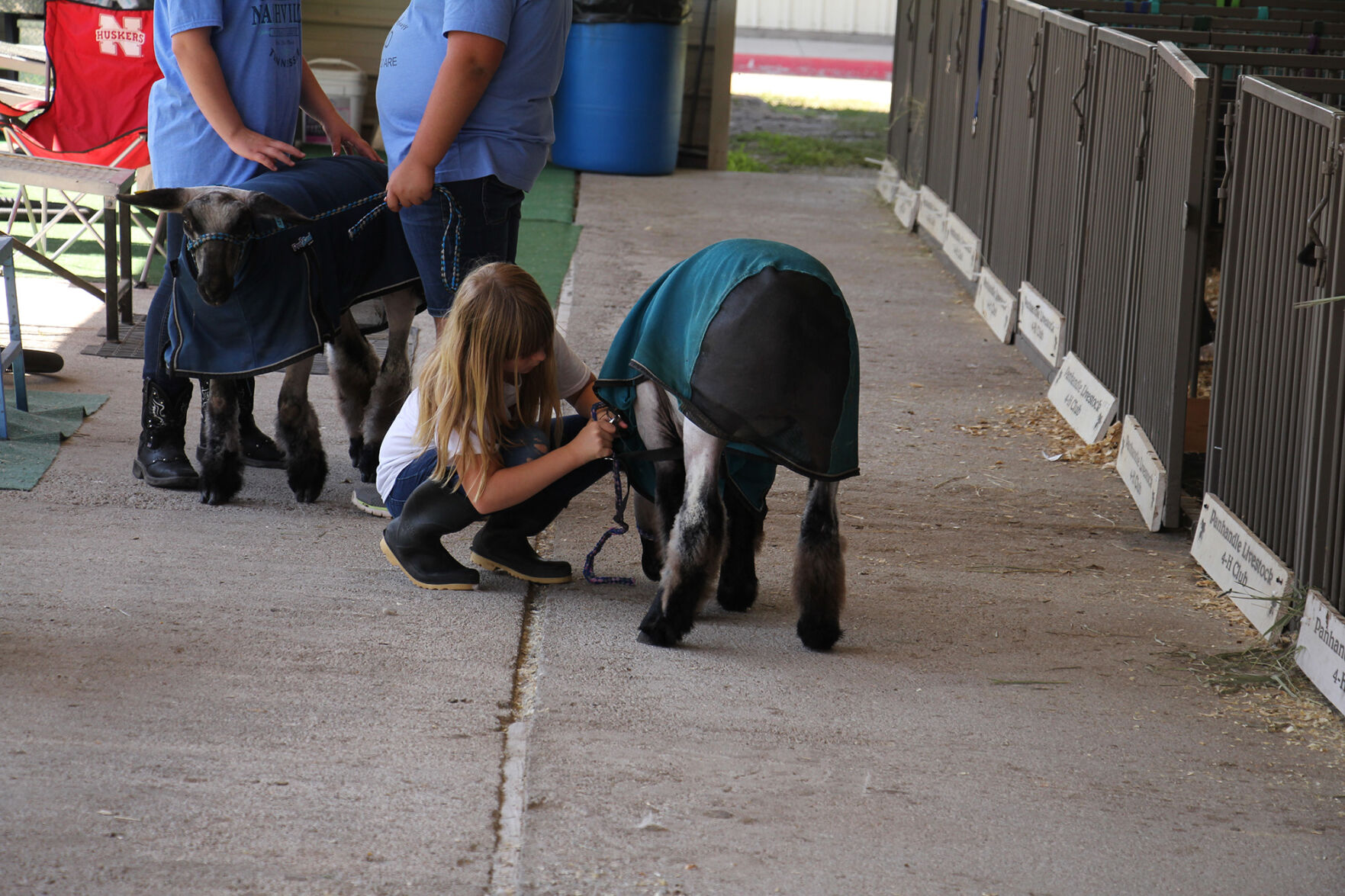 PHOTOS: More from the Scotts Bluff County Fair 2020